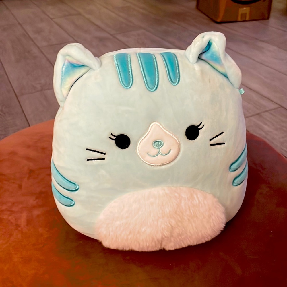 Carinna cat squishmallow